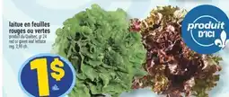 Marché Richelieu LAITUE EN FEUILLES ROUGES OU VERTES | RED OR GREEN LEAF LETTUCE offer