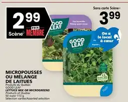 Rachelle-Bery Grocery GOOD LEAF LETTUCE MIX OR MICROGREENS offer