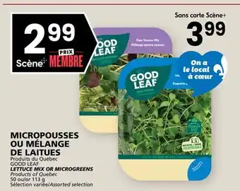 Rachelle-Bery Grocery GOOD LEAF LETTUCE MIX OR MICROGREENS offer