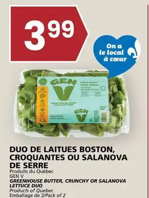 Rachelle-Bery Grocery GEN V GREENHOUSE BUTTER, CRUNCHY OR SALANOVA LETTUCE DUO offer