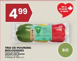 Rachelle-Bery Grocery ORGANIC TRIO PEPPERS offer