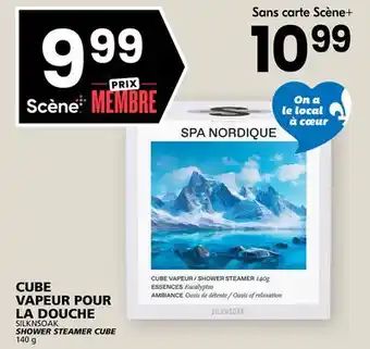 Rachelle-Bery Grocery CUBE VAPEUR POUR LA DOUCHE SILKNSOAK offer