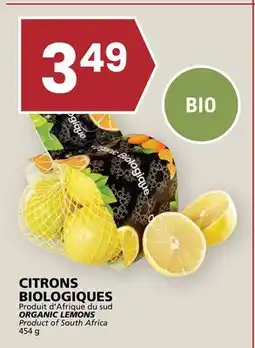 Rachelle-Bery Grocery ORGANIC LEMONS offer