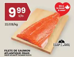 Rachelle-Bery Grocery FRESH ATLANTIC SALMON FILLETS offer