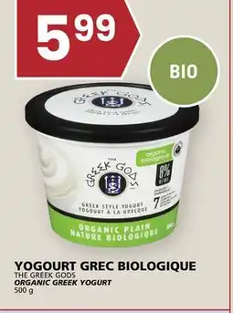 Rachelle-Bery Grocery THE GREEK GODS ORGANIC GREEK YOGURT offer