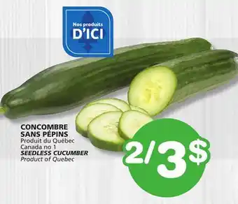 Marches Tradition SEEDLESS CUCUMBER offer