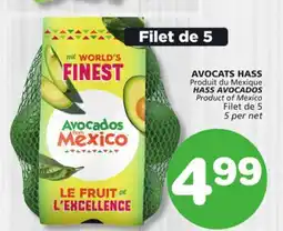 Marches Tradition HASS AVOCADOS offer