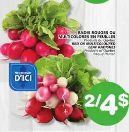 Marches Tradition RED OR MULTICOLOURED LEAF RADISHES offer