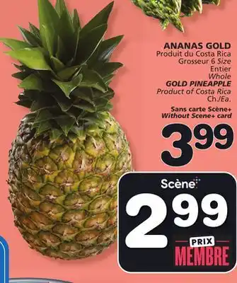 Marches Tradition Whole GOLD PINEAPPLE offer