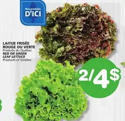 Marches Tradition RED OR GREEN LEAF LETTUCE offer