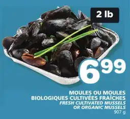Marches Tradition FRESH CULTIVATED MUSSELS OR ORGANIC MUSSELS offer