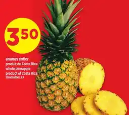 Maxi ANANAS ENTIER | WHOLE PINEAPPLE offer