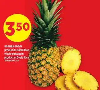 Maxi ANANAS ENTIER | WHOLE PINEAPPLE offer