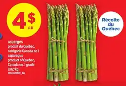 Maxi ASPERGES | ASPARAGUS offer