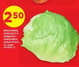 Maxi LAITUE ICEBERG | ICEBERG LETTUCE offer