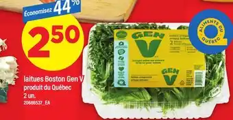 Maxi LAITUES BOSTON GEN V, 2 un offer