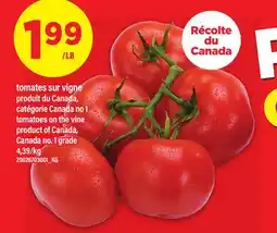 Maxi TOMATES SUR VIGNE | TOMATOES ON THE VINE offer