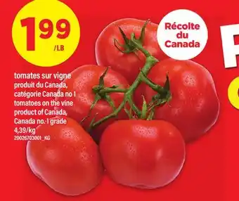 Maxi TOMATES SUR VIGNE | TOMATOES ON THE VINE offer