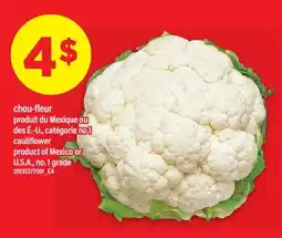 Maxi CHOU-FLEUR | CAULIFLOWER offer