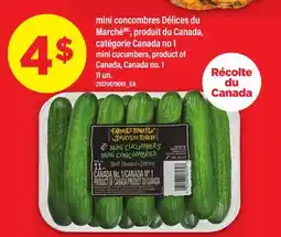 Maxi MINI CONCOMBRES DÉLICES DU MARCHÉ | MINI CUCUMBERS, 11 UN offer