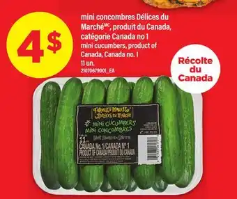 Maxi MINI CONCOMBRES DÉLICES DU MARCHÉ | MINI CUCUMBERS, 11 UN offer