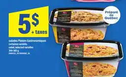 Maxi SALADES PLAISIRS GASTRONOMIQUES, 300-385 g offer