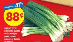 Maxi OIGNON VERTS offer