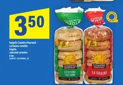 Maxi BAGELS COUNTRY HARVEST, 6 un offer