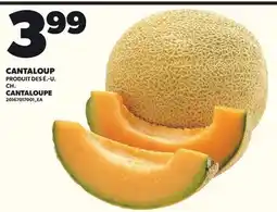 Provigo CANTALOUP offer