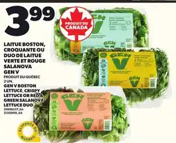 Provigo LAITUE BOSTON, CROQUANTE OU DUO DE LAITUE VERTE ET ROUGE SALANOVA GEN V, 2UN offer