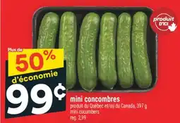 Super C MINI CONCOMBRES | MINI CUCUMBERS offer