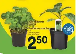 Super C PLANT DE LÉGUMES ASSORTIS | ASSORTED VEGETABLE PLANT offer