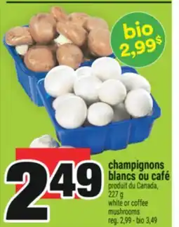 Super C champignons blancs ou café | white or coffee mushrooms offer