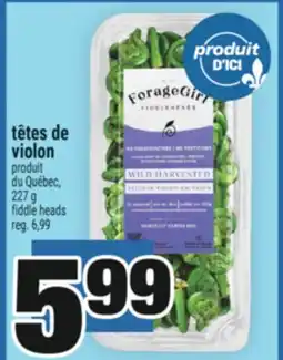 Super C TÊTES DE VIOLON | FIDDLE HEADS offer