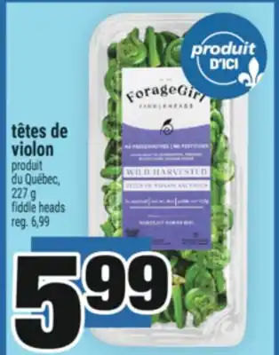 Super C TÊTES DE VIOLON | FIDDLE HEADS offer