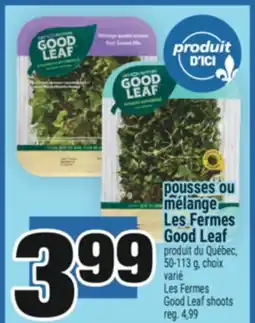 Super C pousses ou mélange Les Fermes Good Leaf | Les Fermes Leaf Good Leaf shoots offer