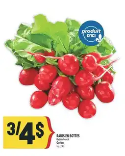 Marché Adonis RADIS EN BOTTES | Radish bunch offer