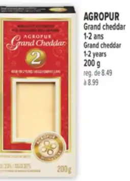 Marché Adonis AGROPUR Grand cheddar | Grand cheddar offer