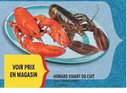Marché Adonis HOMARD VIVANT OU CUIT | LIVE OR COOKED LOBSTER offer