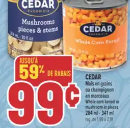 Marché Adonis CEDAR Maïs en grains ou champignon en morceaux | Whole corn kernel or mushroom in pieces offer