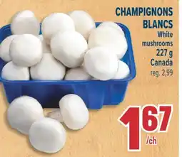 Marché Adonis CHAMPIGNONS BLANCS | White mushrooms offer