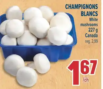 Marché Adonis CHAMPIGNONS BLANCS | White mushrooms offer