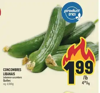 Marché Adonis CONCOMBRES LIBANAIS | LEBANESE CUCUMBERS offer