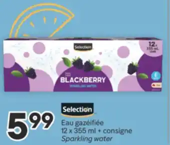Brunet SELECTION Eau gazéifiée offer