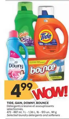 Brunet TIDE, GAIN, DOWNY, BOUNCE Détergents à lessive et assouplissants sélectionnés offer