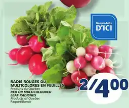 Marché Bonichoix RED OR MULTICOLOURED LEAF RADISHES offer