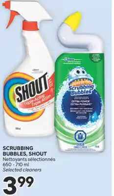 Brunet SCRUBBING BUBBLES, SHOUT Nettoyants sélectionnés offer