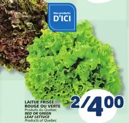 Marché Bonichoix RED OR GREEN LEAF LETTUCE offer