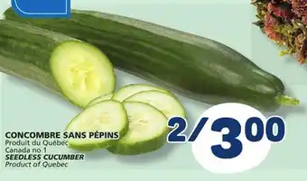 Marché Bonichoix SEEDLESS CUCUMBER offer