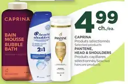Proxim CAPRINA & PANTENE, HEAD & SHOULDERS offer